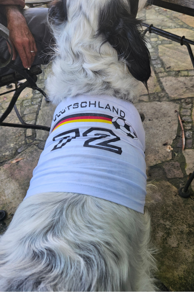 Fan-Trikot gibt es auch für Hunde!